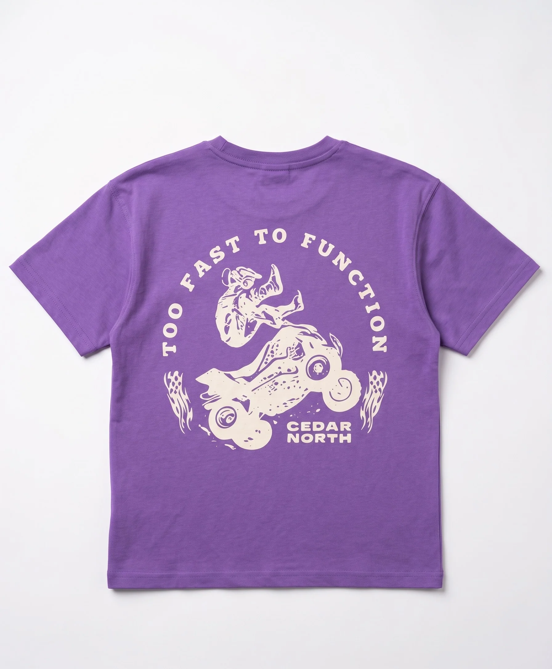 Boy`s Printed T-Shirt – Over Size-Short Sleeve- purple - Image 2